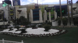 Tropicana garden facing MGM Grand