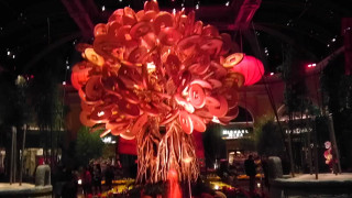 Bellagio Conservatory Coin Bouquet
