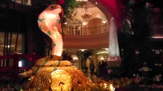 Bellagio Conservatory Cobra